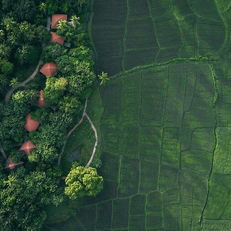 Hotel Jetwing Kaduruketha Wellawaya Zewnętrze zdjęcie